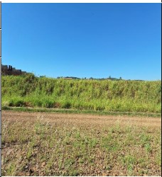 Terreno - Venda, PQ IND. SPIGA REAL, TAMBAU, SP