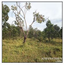 Terreno - Venda, LUZIANIA, GO