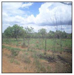 Terreno - Venda, PARQUE ALVORADA II, LUZIANIA, GO