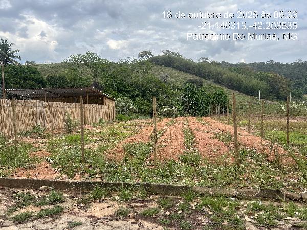 Terreno - Venda, SAPUCAIA, PATROCINIO DO MURIAE, MG