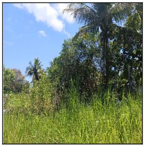 Terreno - Venda, RECANTO DOS MAGALHAES (CABUCU), ITABORAI, RJ