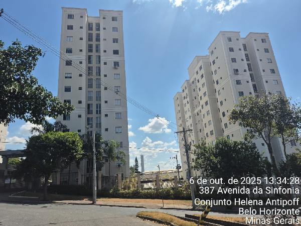 Apartamento - Venda, SANTA AMELIA, BELO HORIZONTE, MG