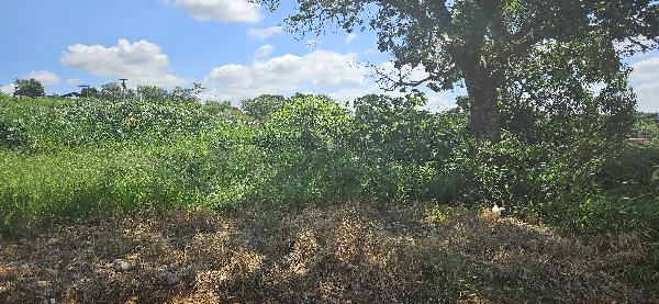 Terreno - Venda, JARDIM SANTA RITA DE CASSIA, CAPIVARI, SP
